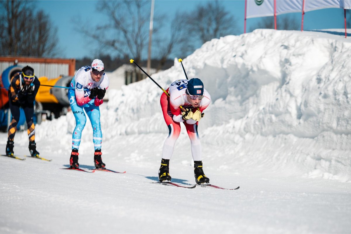 Trasy a harmonogram pro Šumavský skimaraton 2026