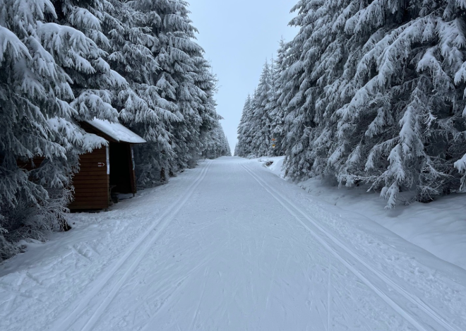 Perfektní lyžování, hlásí organizátoři Karlova běhu