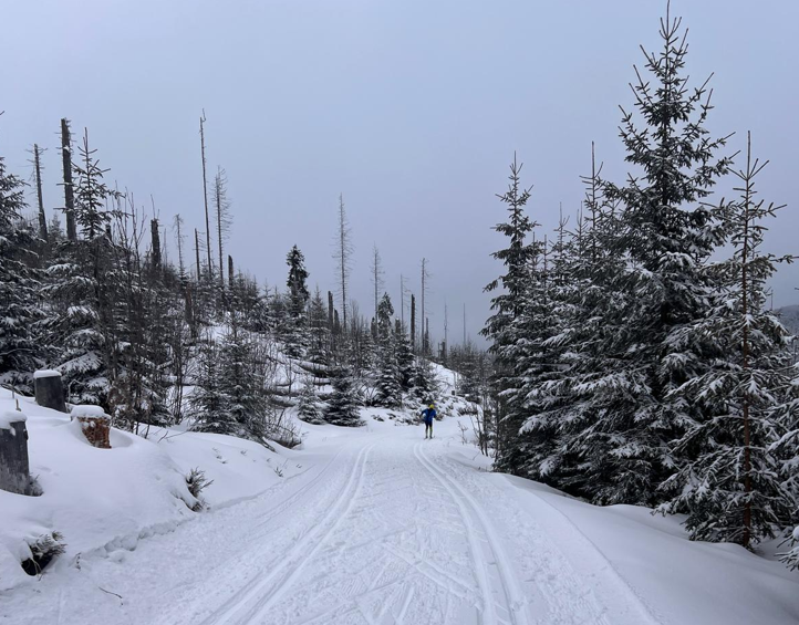 Na Šumavu se vrátila zima, skimaraton bude!